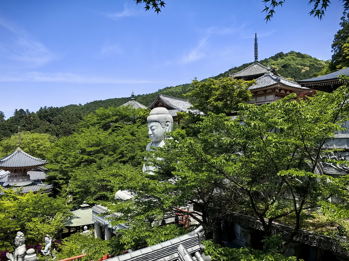 第六番 壺阪山 南法華寺(壺阪寺)